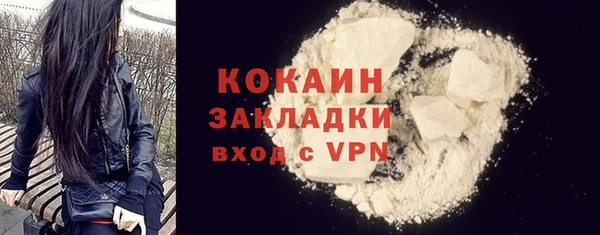 ECSTASY Богданович